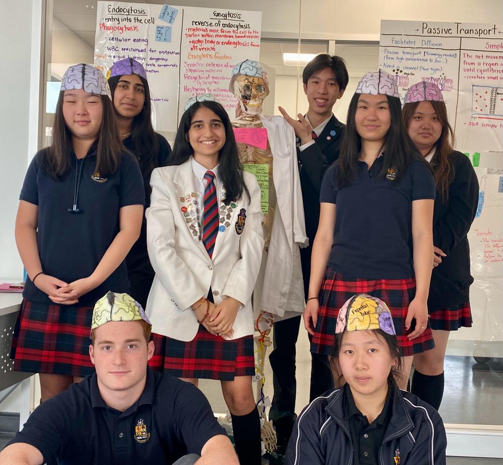 And it’s a wrap for learning about the nervous system!  

Our Grade 12 students rocked their brain hats as they modeled their knowledge of the incredible human brain! 🧠💡

#ScienceED #NervousSystem #LearningInAction #FunwithLearning #FutureScientists #MacLachlanCollege