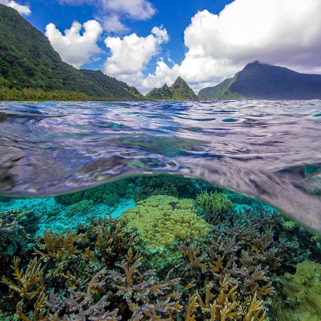Happy World Ocean Day!

The ocean touches every aspect of our lives. It helps sustain livelihoods, influences our climate and weather patterns, boosts economies and serves as a place for exploration and recreation.

Photo by NPS