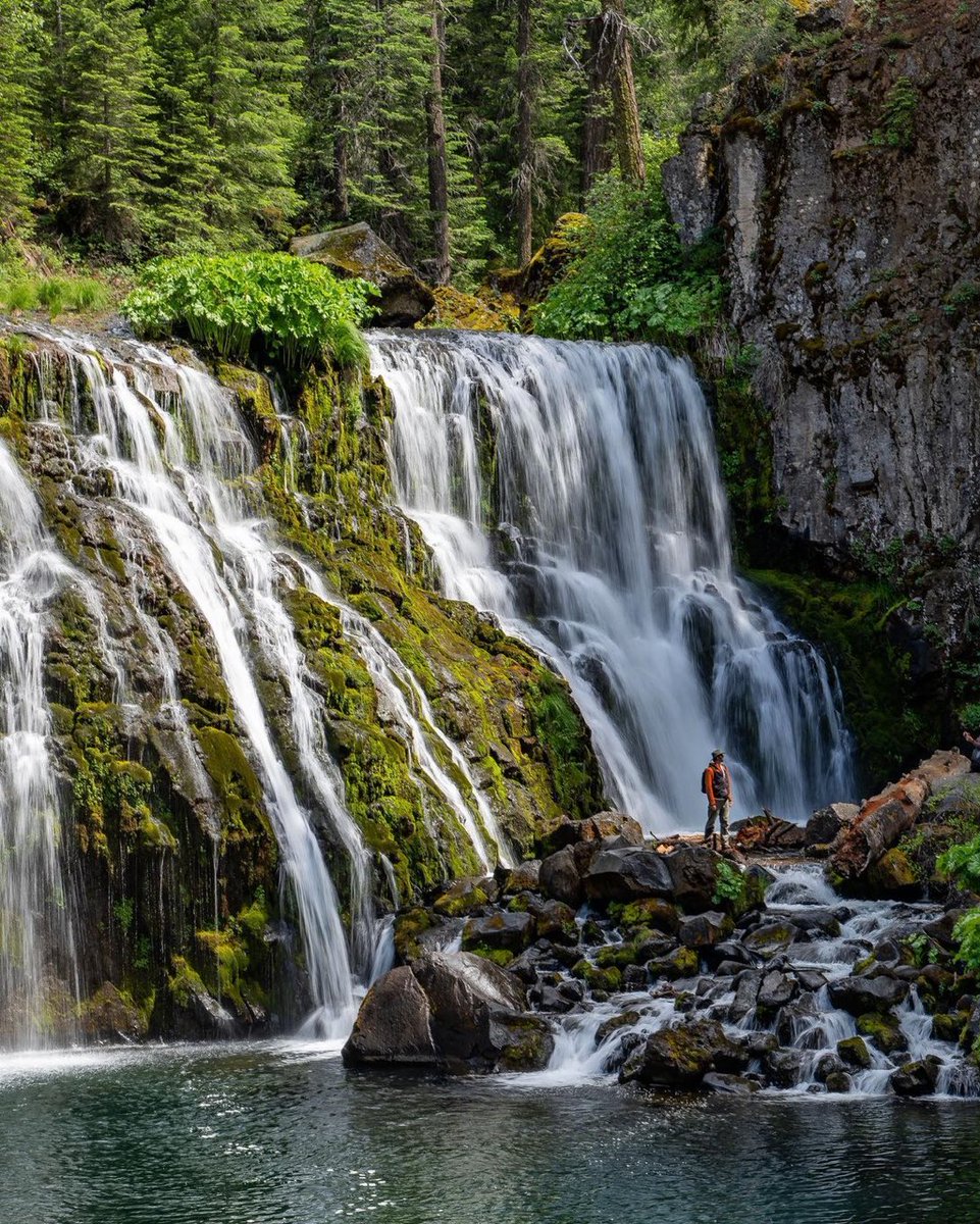 On the McCloud River near Mount Shasta 🏔️🌲 in Northern California 😎💙