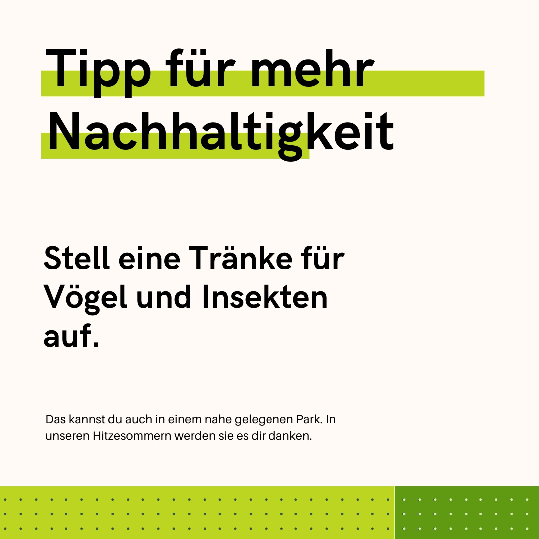 Tipp für mehr #Nachhaltigkeit:
Stell eine #Tränke für #Vögel und Insekten auf.

Lege in eine flache Schale kleine Steine als Landeplatz für die #Insekten. Fülle die Schale dann mit #Wasser und achte darauf, dass die Steine noch ein bisschen aus dem Wasser ragen.