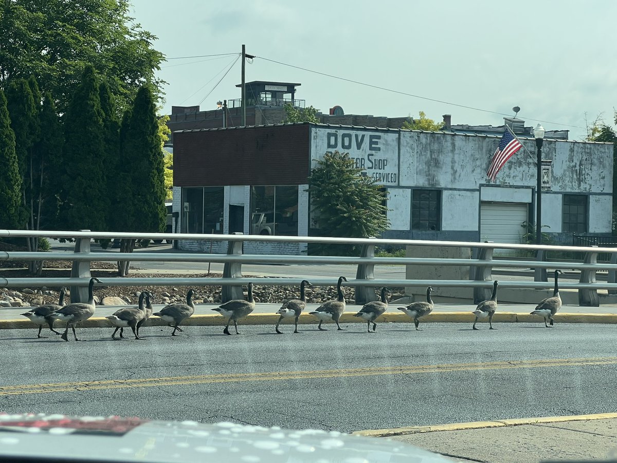 City of Bristol VA on Twitter "RT AshleyWCYB Hit a Bristol traffic