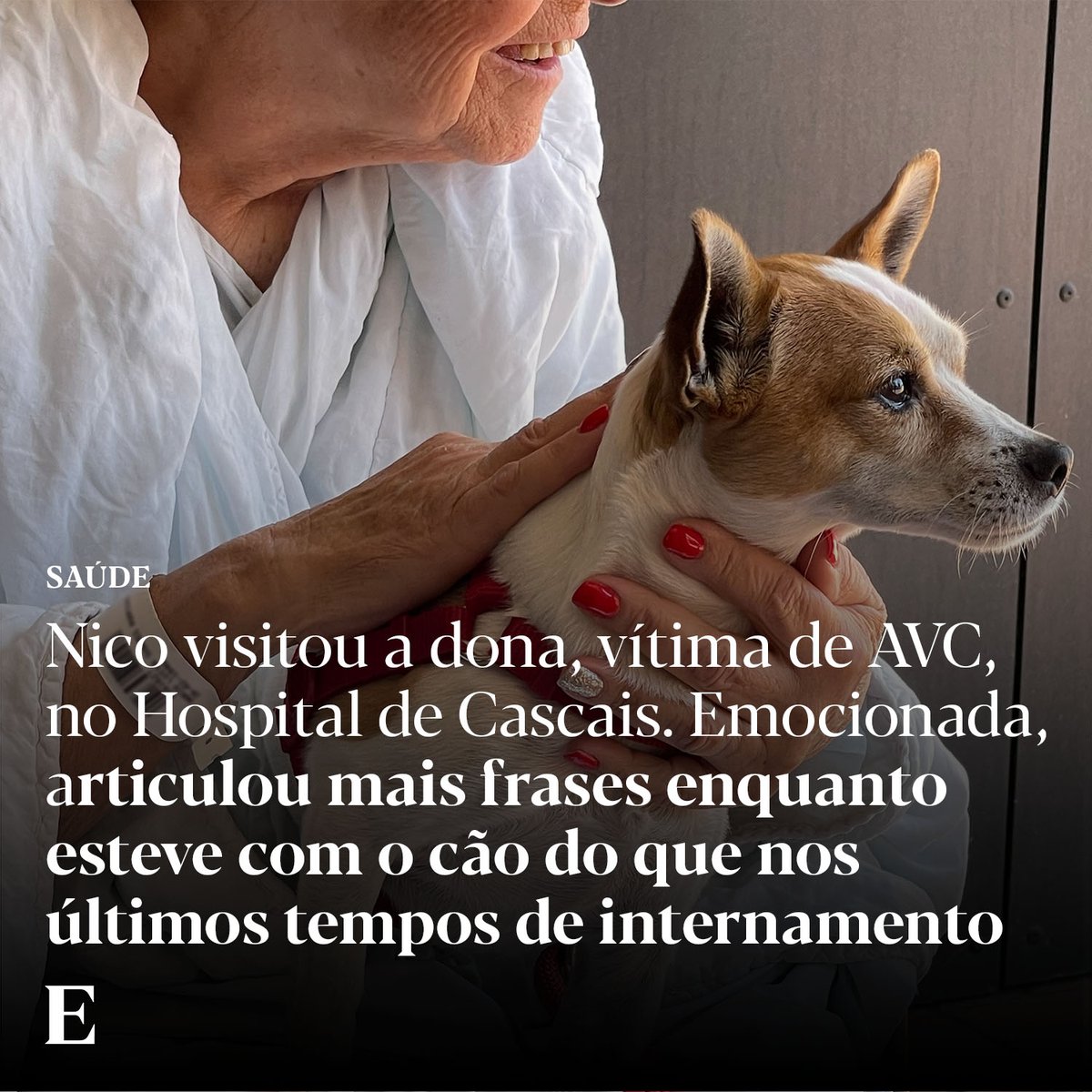 No Hospital de Cascais Dr. José de Almeida, em Lisboa, os animais de companhia já podem visitar os donos, se estes forem doentes crónicos ou estiverem em internamento de longa permanência. 

Saiba mais: expresso.pt/webstories/ani…

📷 Hospital de Cascais