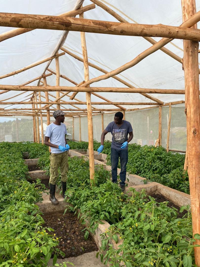 ChrisKapche's tweet photo. It was a wonderful  evening hosting my fellow farmer @salimo_paul  at our @Barawavalli looking forward  to our #partnership. your #coffee #trees are sorted with our organic fertilizer  from our  #black #soldier #fly 
climate smart agriculture @ChebarToni @SebeiNation @WKapchorwa https://t.co/WPn9dxxnIK