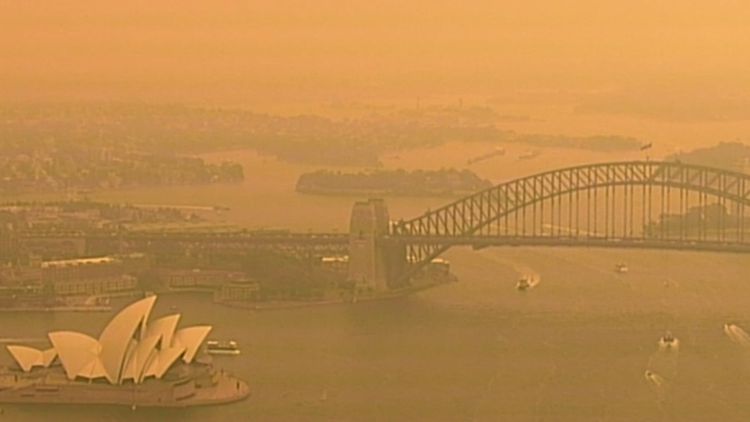 In the last 4 years each city had its worst day of wildfire smoke in recorded history. 
1. New York, 2023
2. San Francisco, 2020
3. Los Angeles, 2020
4. Sydney, 2019

The Earth is on fire. There is no time to wait. #ActOnClimate 

#climate #energy #renewables