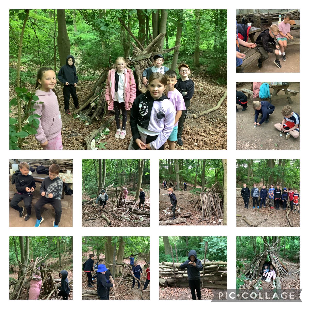 Springfield Primary Academy tweet media