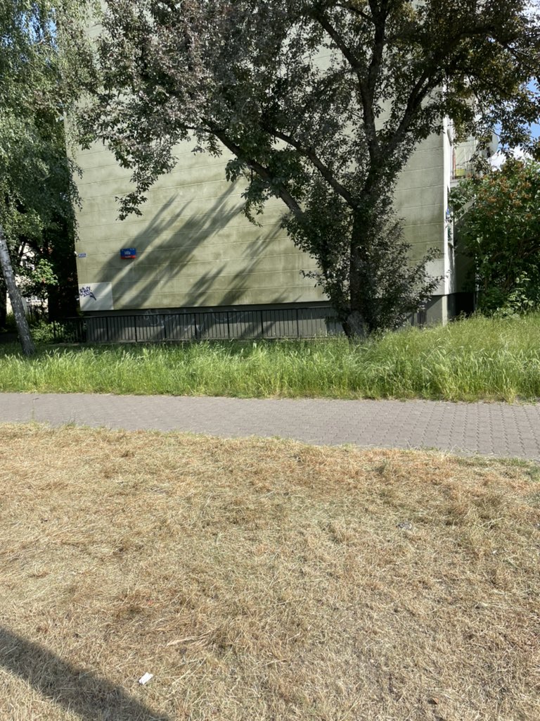 johntheem's tweet photo. Hej @warszawa! Może by tak jednak w czasie suszy nie kosić trawników? Jest #susza. Czerwiec, to nie jest jeszcze miesiąc na siano! 🥲🌱🌞 Dzielnica @MiejskaWola cierpi, a wysokie trawy zatrzymują wodę i chłodzą. #Warszawa #Wola #Trawnik #Koszenie CC: @f_sterczewski @trzaskowski_ https://t.co/92PJO5LrfO