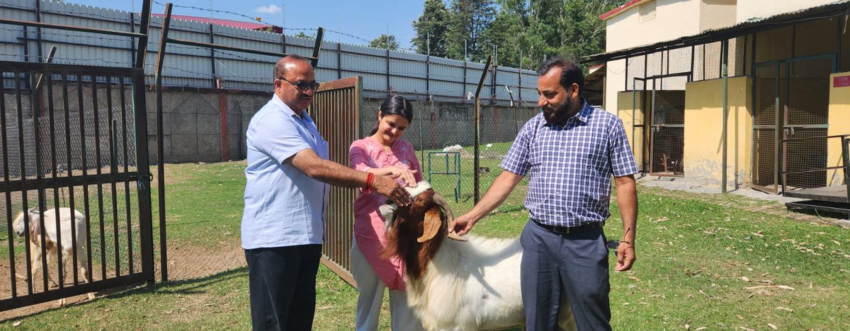 UswdbCeo's tweet photo. #PashudhanUK
APS, Hon'ble Minister of Animal Husbandry, Govt of India visited Sheep Goat Al Lab and ACBF Pashulok, Rishikesh!
Facilities including sheep goat semen production lab, goat milk value chain and training programs were inspected during the visit. #SheepGoatAILab #ACBF https://t.co/mXE3fz6HEl