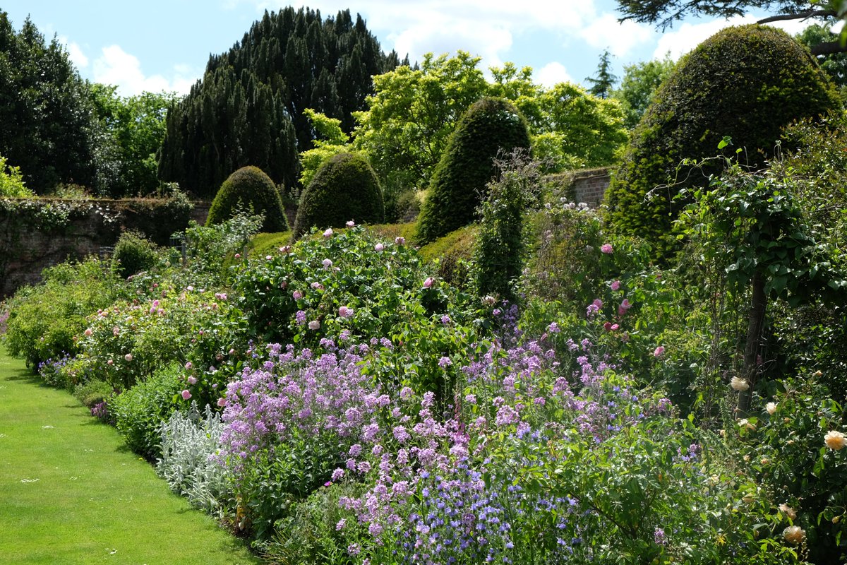 Goodnestone Park open Thursday, 15 June.  Old fashioned roses and kitchen garden, topiary, woodland walks, nice tea room. Dreamy! findagarden.ngs.org.uk/garden/955/goo…