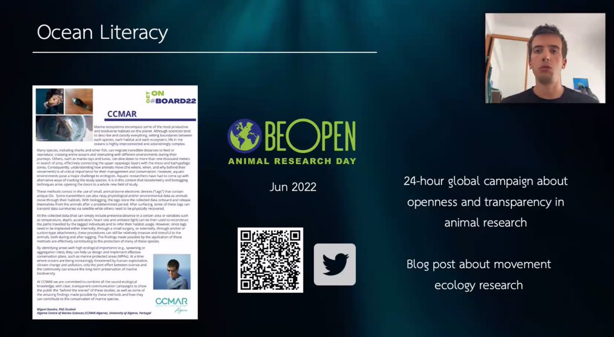 Nuno Henrique Franco tweet media