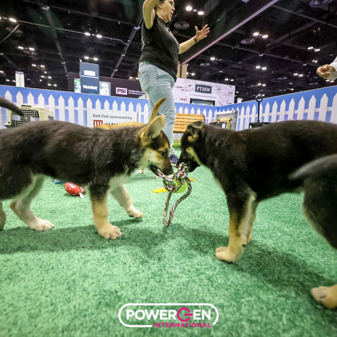 Throwing it back to the #POWERGEN23 Bark Park!

Cuddling with adoptable puppies is the best way to take a breather from a busy exhibit floor!

#NationalPetWeek #PetAppreciation #PetsofPOWERGEN