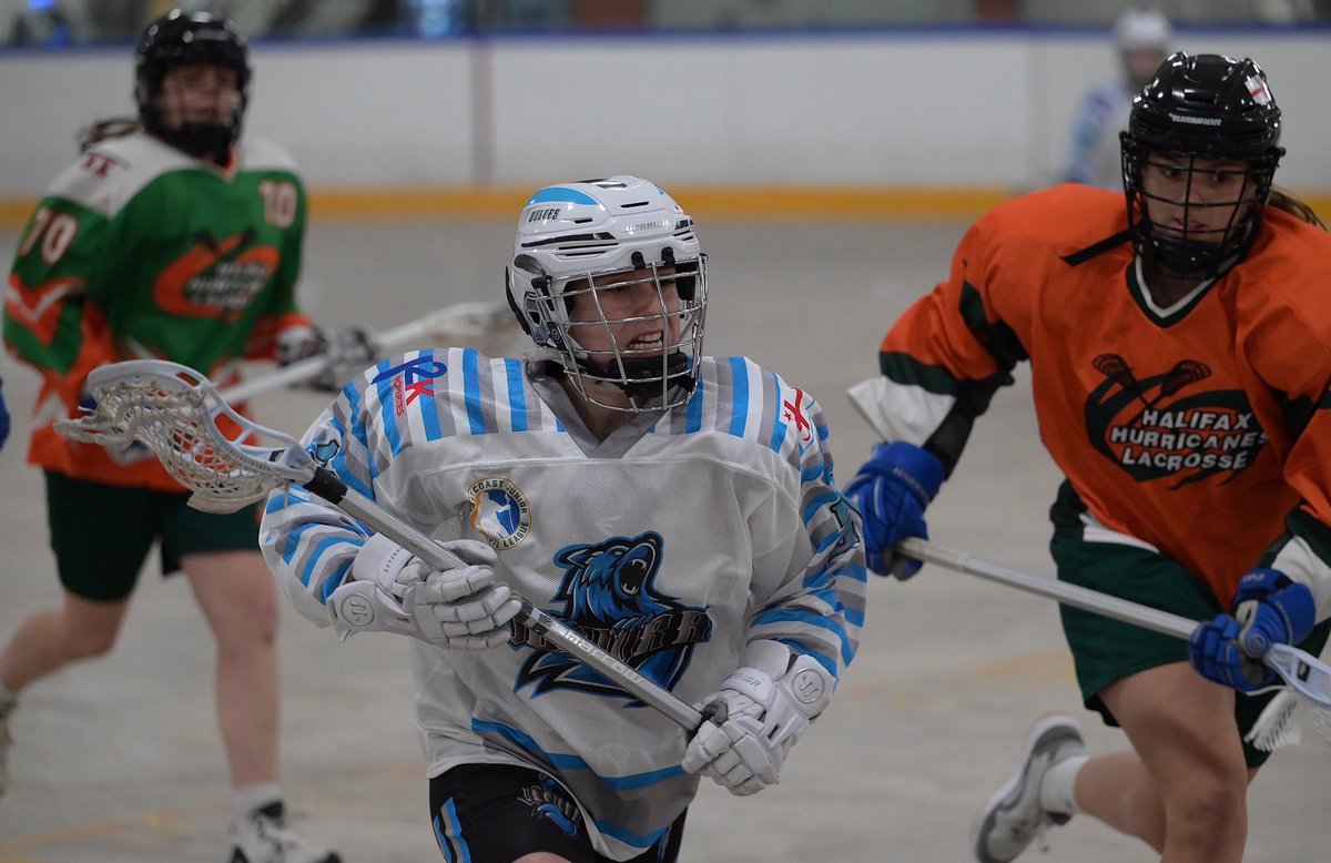 DW Photo tweet media