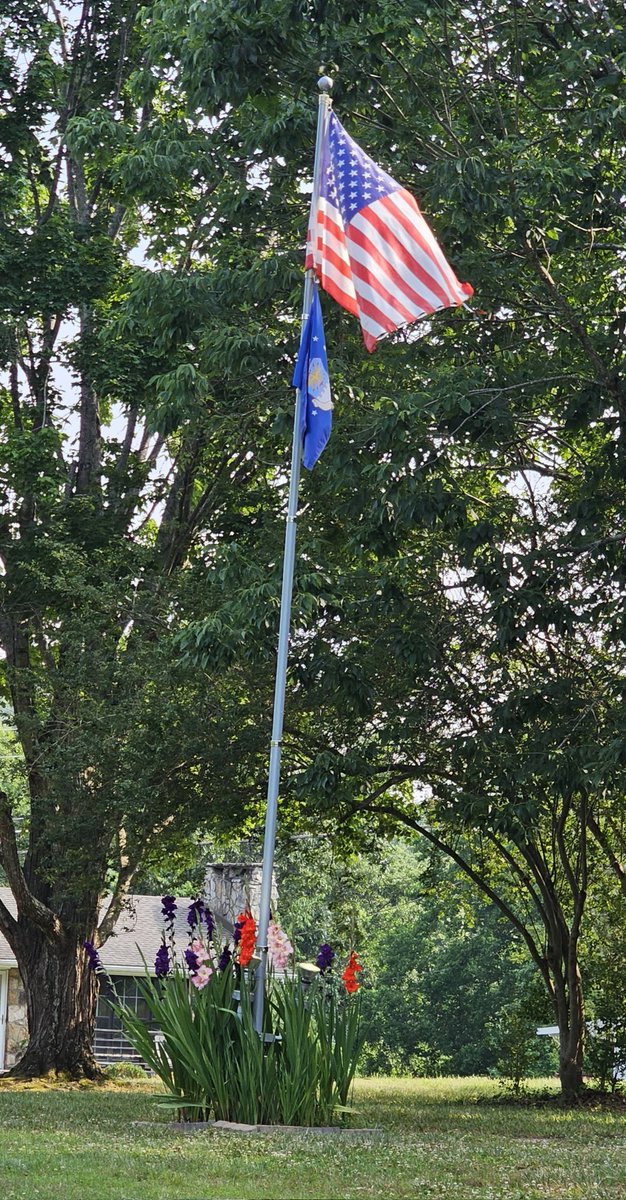 _Maybenexttime_'s tweet photo. @ProjectLincoln #TakeBackTheFlag https://t.co/MUkRfidaul