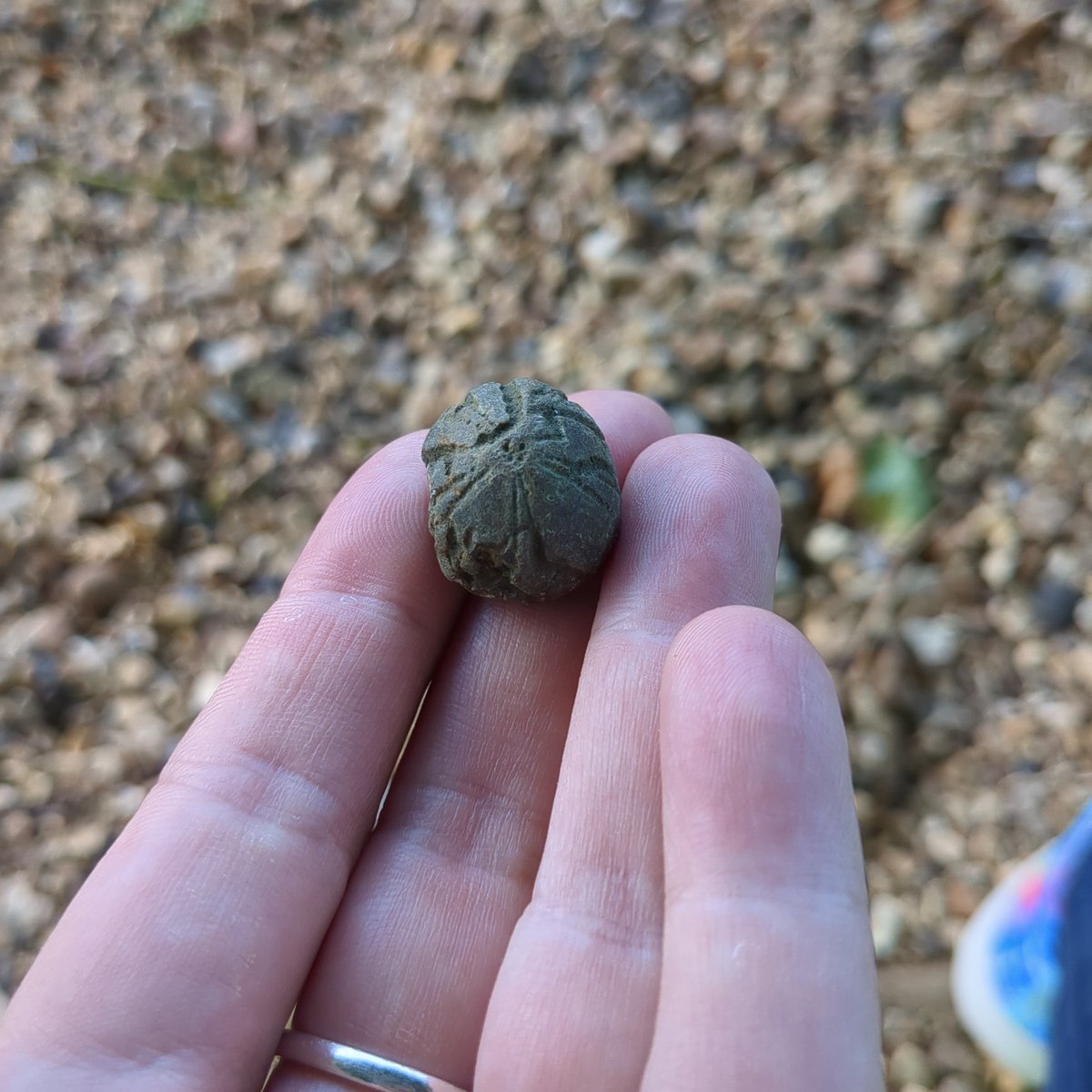 ZoëSimmons tweet media