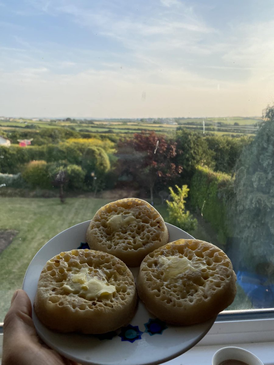 Rate My Plate 🍽️ tweet media