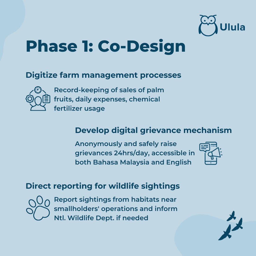 Ulula4good's tweet photo. 💡 Providing support for on-the-ground capacity building for palm oil producers, the Ulula x Wild Asia pilot program launched in the Kinabatangan region in Sabah, Malaysia. 

👉 Swipe to learn more and read the full case study here: https://t.co/XtysvRCvsX https://t.co/isdNuZoRGL