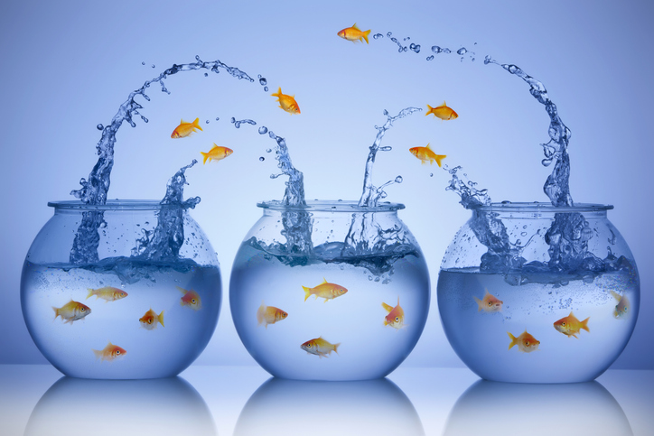 Are you drowning in leadership advice? Here’s a lifeline. <a href="/SmartBrief/">SmartBrief</a> <a href="/lrspeaks/">Larry Robertson</a> 
Here are five insights that consistently surface across the most resilient, value-creating, and successful organizations as most critical. 
ow.ly/4amf50OI0Ji
#leadership #leadershipskills