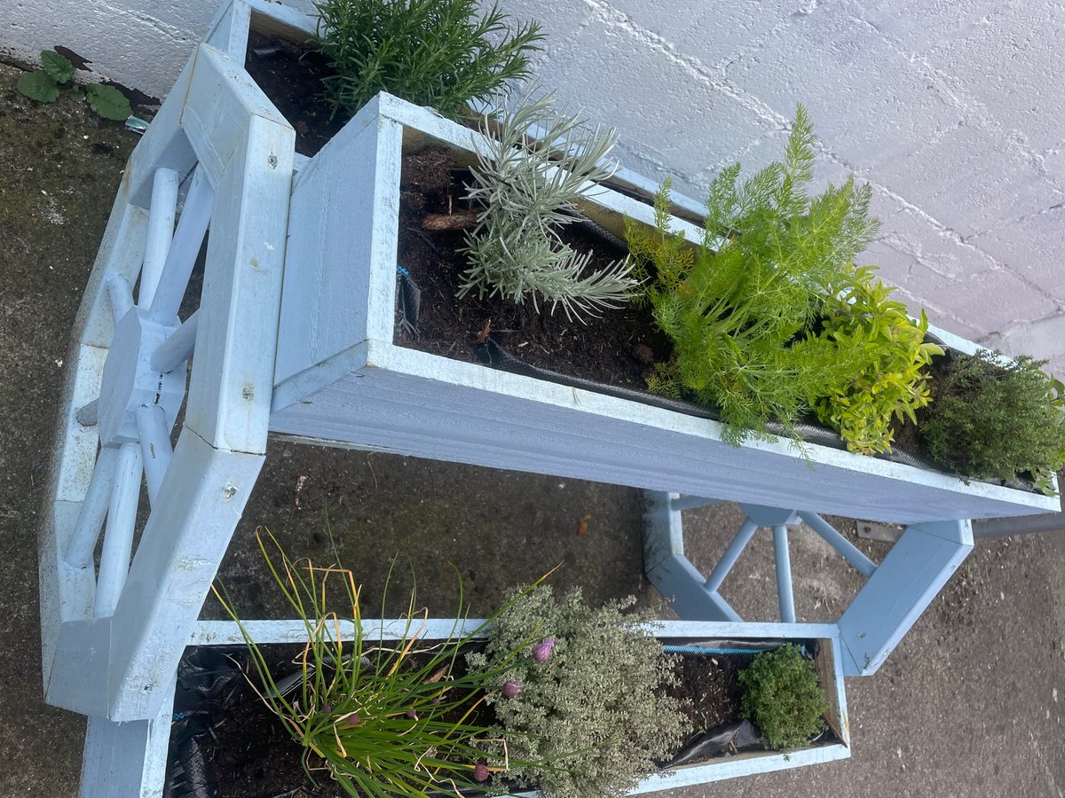 cytcarlow's tweet photo. Preparation for #Prideofplace - well done to all who have made our outdoor area so much more colourful and creative looking👍
@Carlow_Co_Co https://t.co/woW9iDggbU