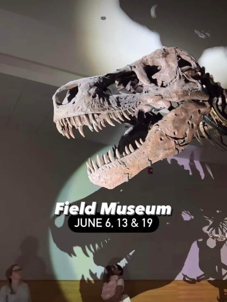 RobinLewisNews's tweet photo. Free days at some Chicago area museums this summer https://t.co/HRBUEIhwuU