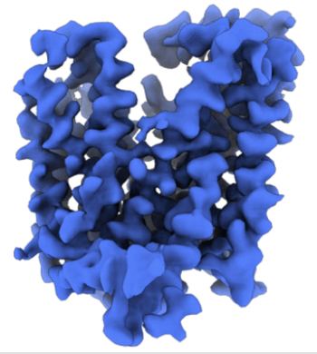 new release5

8P6A: cryo-EM structure of human SLC15A4 in outward-open state

Newstead lab.