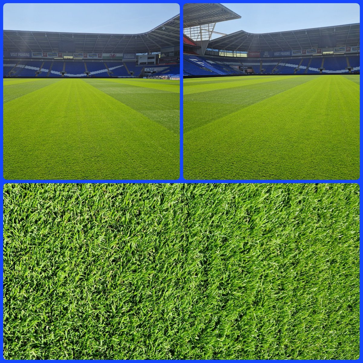 4 and half weeks from renovations <a href="/liamjjjames/">LIAM JAMES</a> and the team have done a great job on the grow-in. Dense, heathy and growing well 👌
<a href="/QualitySeed/">Johnsons Sports Seed</a> #Prempitch