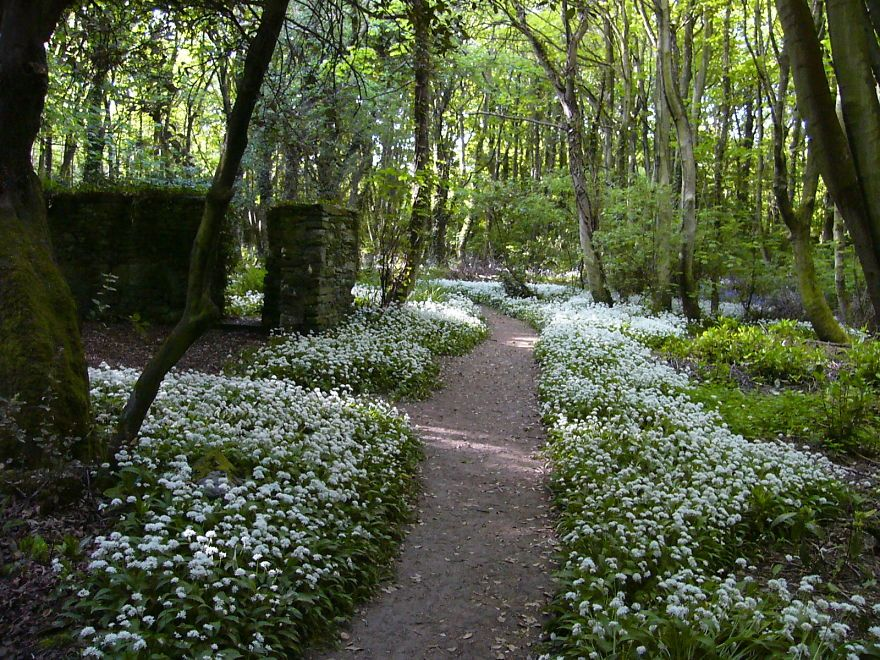 JacCymro1400's tweet photo. Land &amp; Lakes, a company based in Windermere, Cumbria, is planning to flatten the Penrhos Nature Reserve on Ynys Môn in order to build another holiday village, this cannot be allowed to happen. We have to make them fight for every inch of land. This is our homeland, not a resort. https://t.co/JTOjrG8Nlk