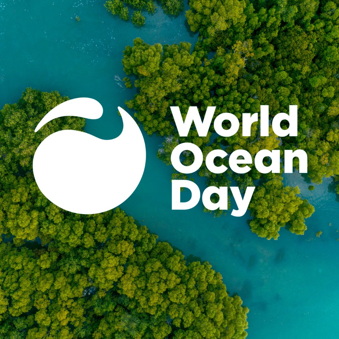This #WorldOceanDay let’s show and grow support for the movement to protect at least 30% of our blue planet by 2030. Together we can turn the tide, curb the climate crisis, and protect biodiversity worldwide. WorldOceanday.org/30x30 #OceanClimateAction #30x30