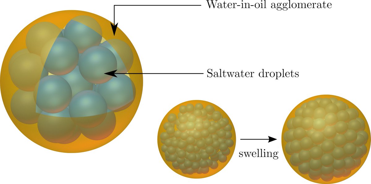 gsroure's tweet image. This week, I presented my work on a permeation network model for swelling of W/O/W emulsions at #ACSColloids at @NCState! Honored to be a finalist for the prestigious Langmuir award.