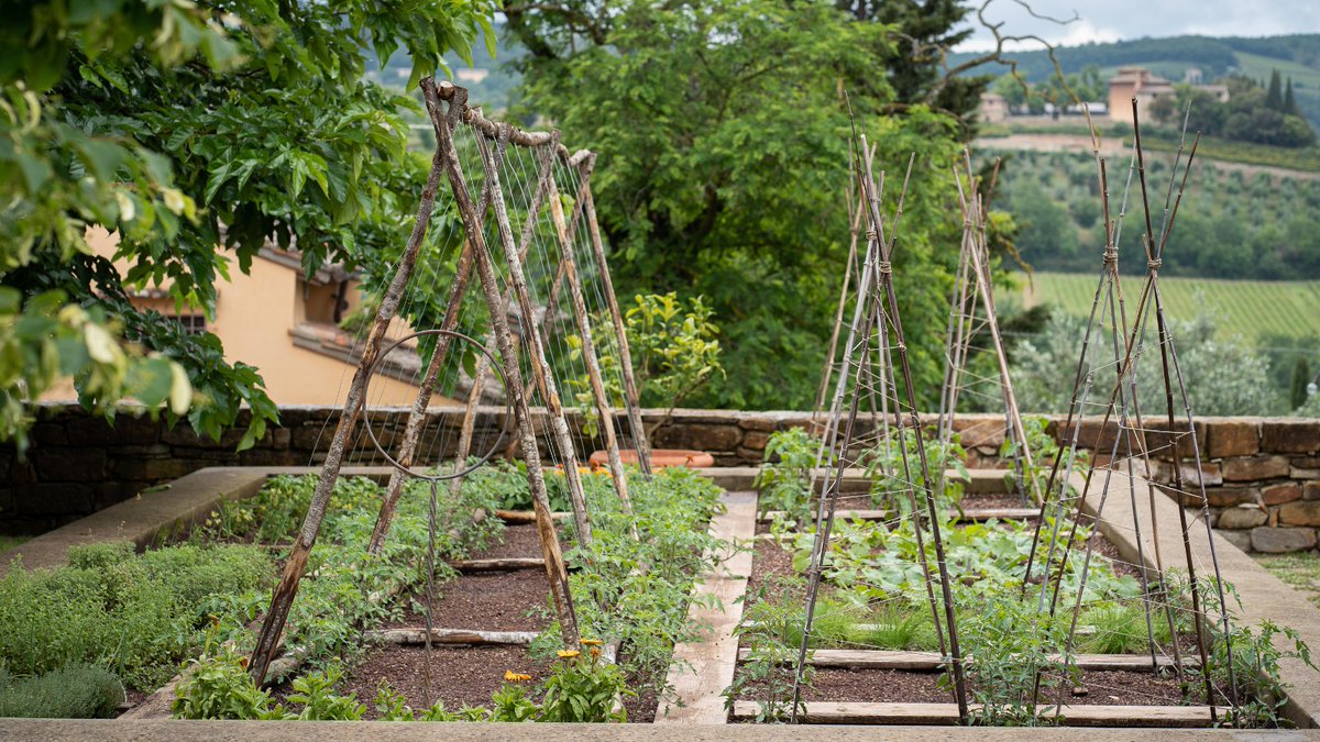 L'esposizione alla luce solare delle piante è fondamentale per organizzare un #orto 
🐞Facendo attenzione alle altezze, in modo che le piante più alte non mettano in ombra quelle più basse.
 🐞Associando alle orticole fiori di calendula e tagete, antiparassitarie naturali.