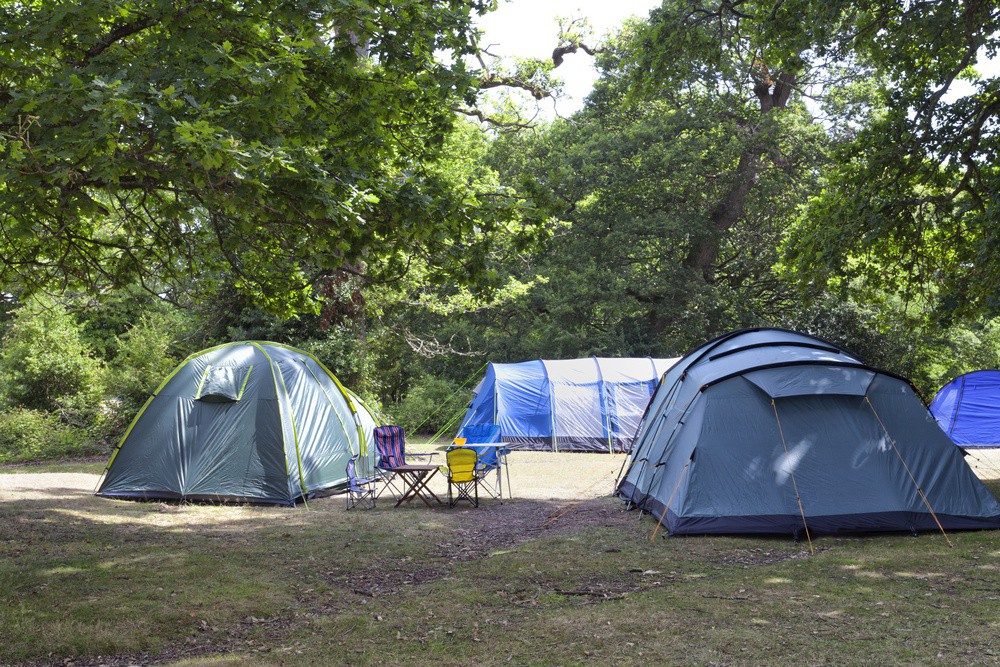 ZenasSuitcaseUS's tweet photo. With its spacious pitches, modern facilities, and convenient amenities such as a children's playground and entertainment area, this campsite offers a comfortable and enjoyable stay.

Read more 👉 https://t.co/tYoMeV7VbM

#UKTravel #Camping #UK https://t.co/a71roohyaC