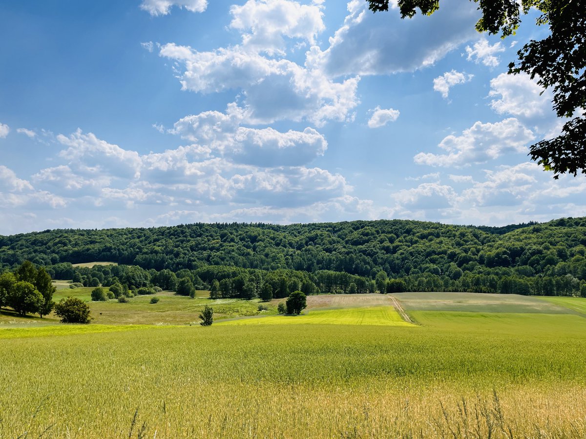 zimnokrwisty's tweet image. Mój dzisiejszy azyl ❤️ #kaszuby