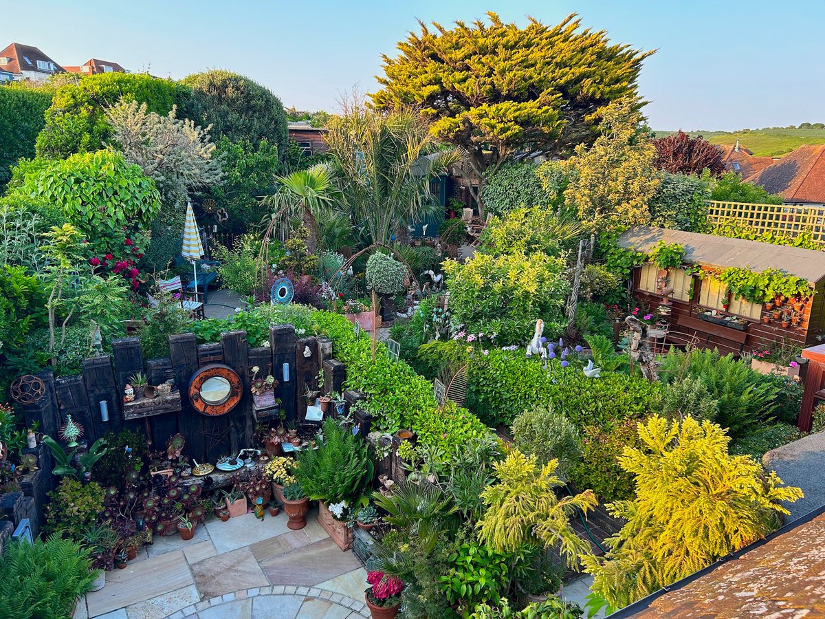 Overview of the back garden
