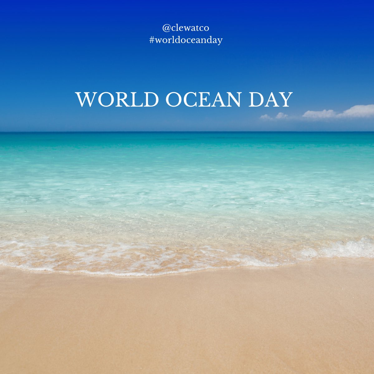 World Ocean Day unites and rallies the world to protect and restore our blue planet! We, Clewat Team clean the seas every day now and future🌊

#clewatco #savingtheseas #worldoceanday