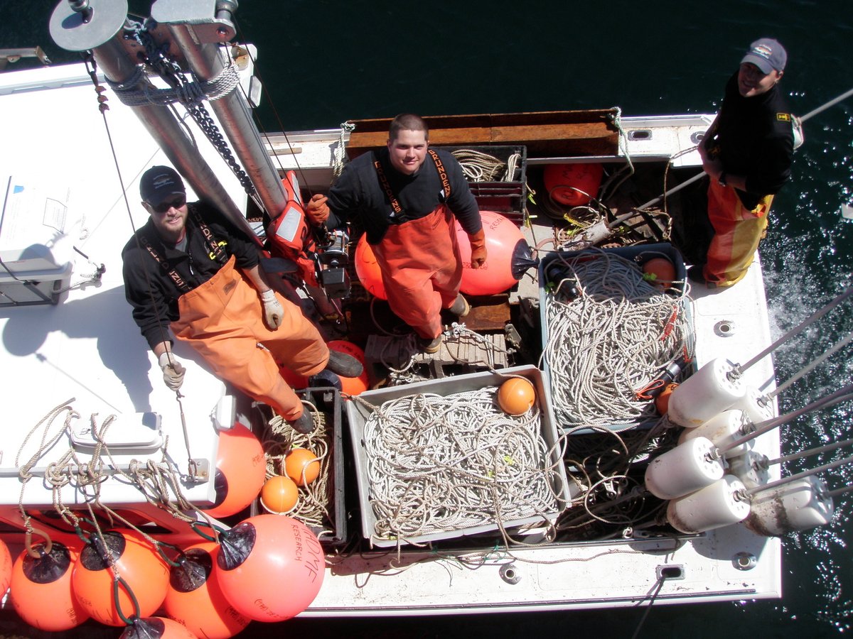 UMassD_SMAST's tweet image. Happy #WorldOceanDay from SMAST! 
#MarineScience #OceanTech #ProudtobeUMassD