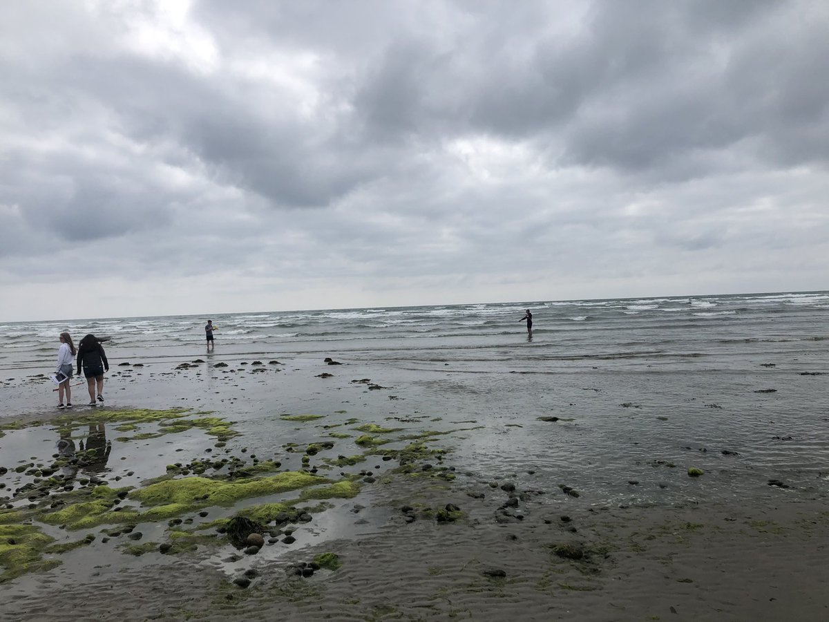 RSA Geography 🌍🗺 tweet media