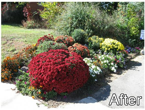 CoCraftsman's tweet photo. Curb appeal matters.
If you're a property manager or own a rental property, it matters more than you might think. https://t.co/taA8NnyeRP