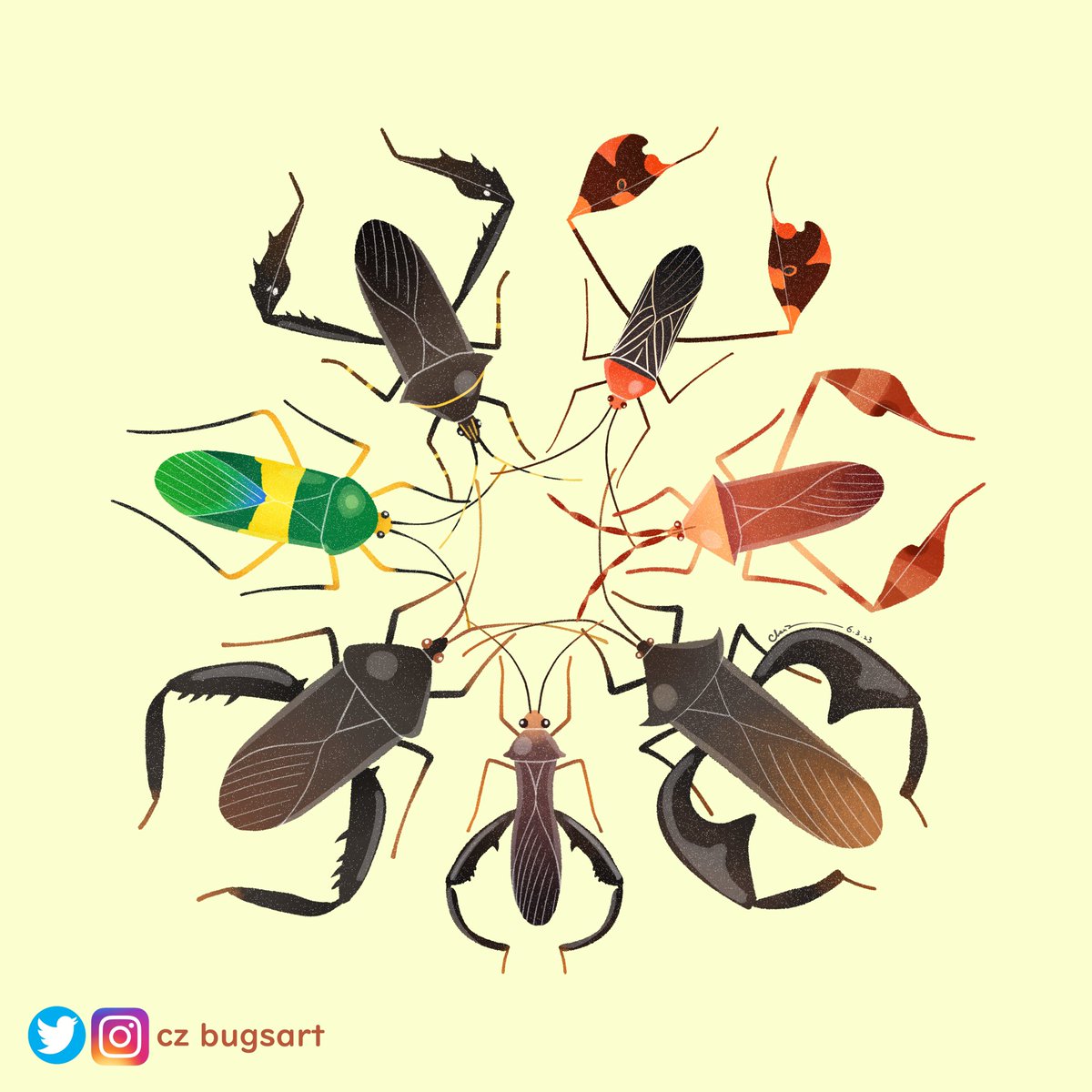 A recent commission for @CWMillerLab , so glad that I can have a chance to work on leaf-footed bugs!