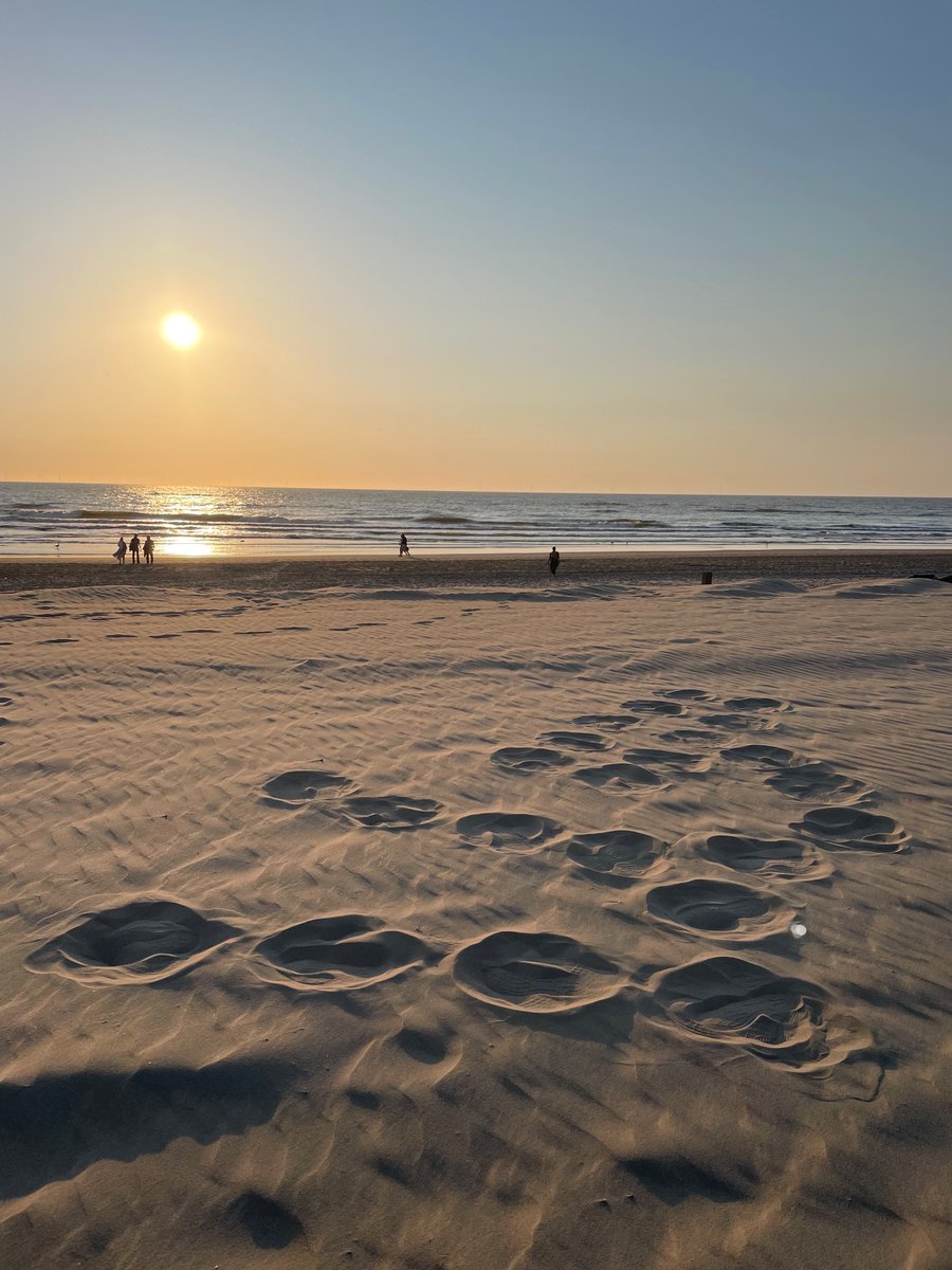 #Elmi2023 dinner at the beach ☀️🐚🌊 Great choice of location! 

Thanks to @schmchristian for the logo in the sand!