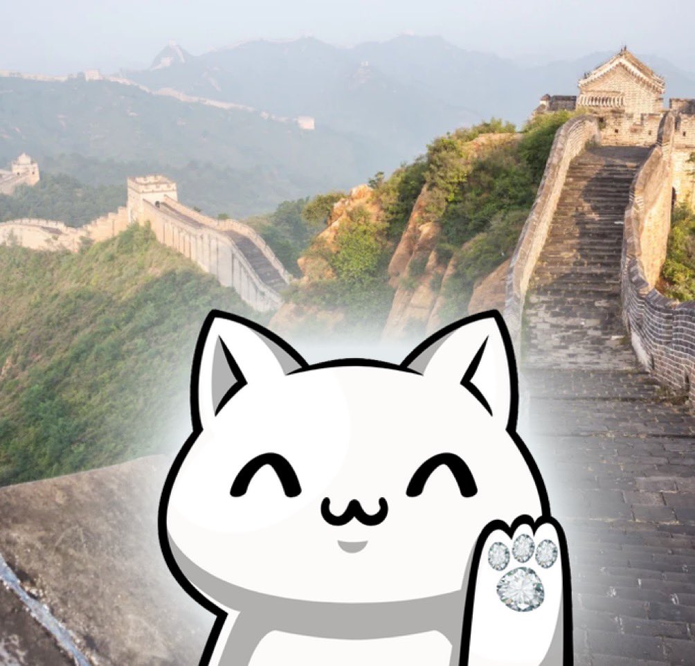 bbcc_crypto's tweet photo. @ProTheDoge This meme is here to stay! Do you see that diamond paw?!? #NIHAO #GREATENTRY https://t.co/5olzP50TeN