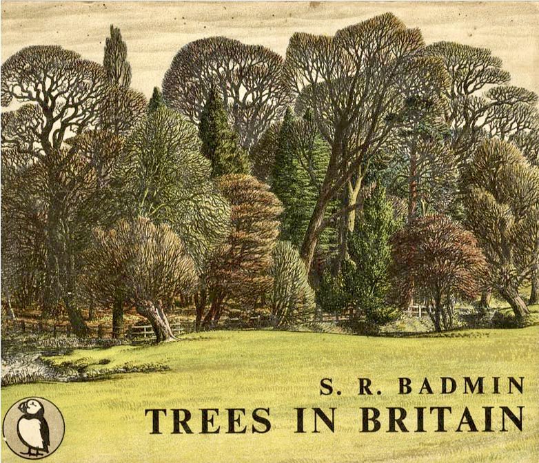 Other work by the Ladybird artists
The Puffin Picture Book: ‘Trees in Britain’ (1943) 
Summer on the front. Winter on the back. Lots of arboreal loveliness in-between 
Artist: SR Badmin