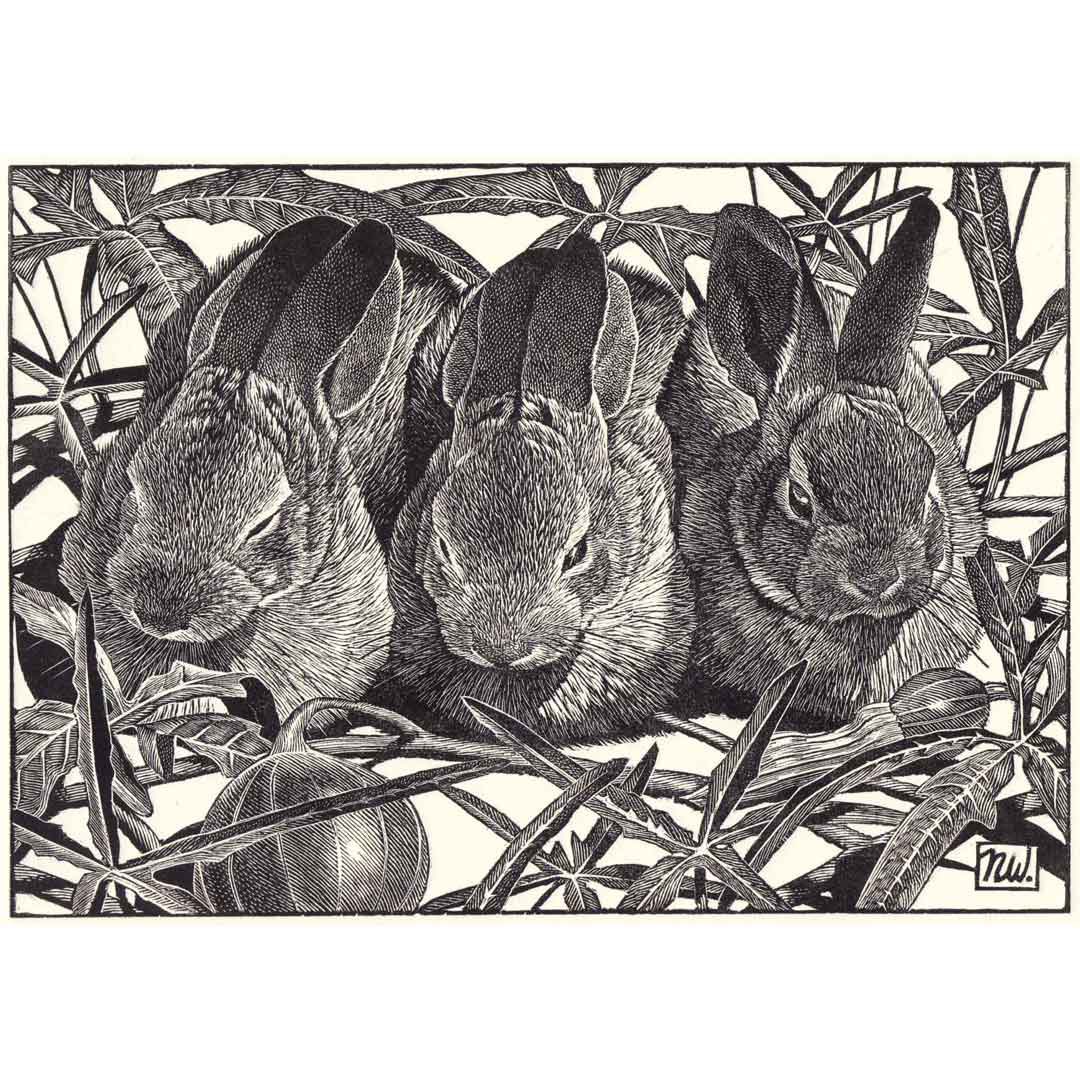 Nicholas Wilson - Wild Sisters, from the 85th SWE Annual Exhibition at Museum in the Park in Stroud until this Sunday 11th June. The artist Hilary Paynter will be there from 11-2pm Saturday 10th demonstrating engraving.
societyofwoodengravers.co.uk
#printmaking