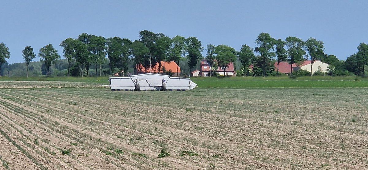 'Ui'tmuntend tweet media