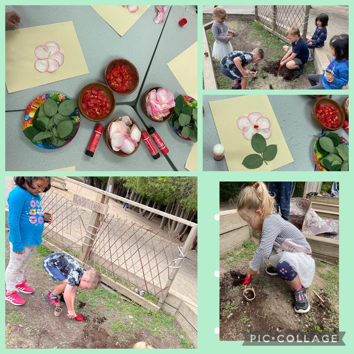 KinderChickadee's tweet photo. We’ve been learning about flowers, gardens, and the life cycle of a seed. Today we got to plan some of our plants in the soil…just in time before the rain https://t.co/hLuHODOtaZ