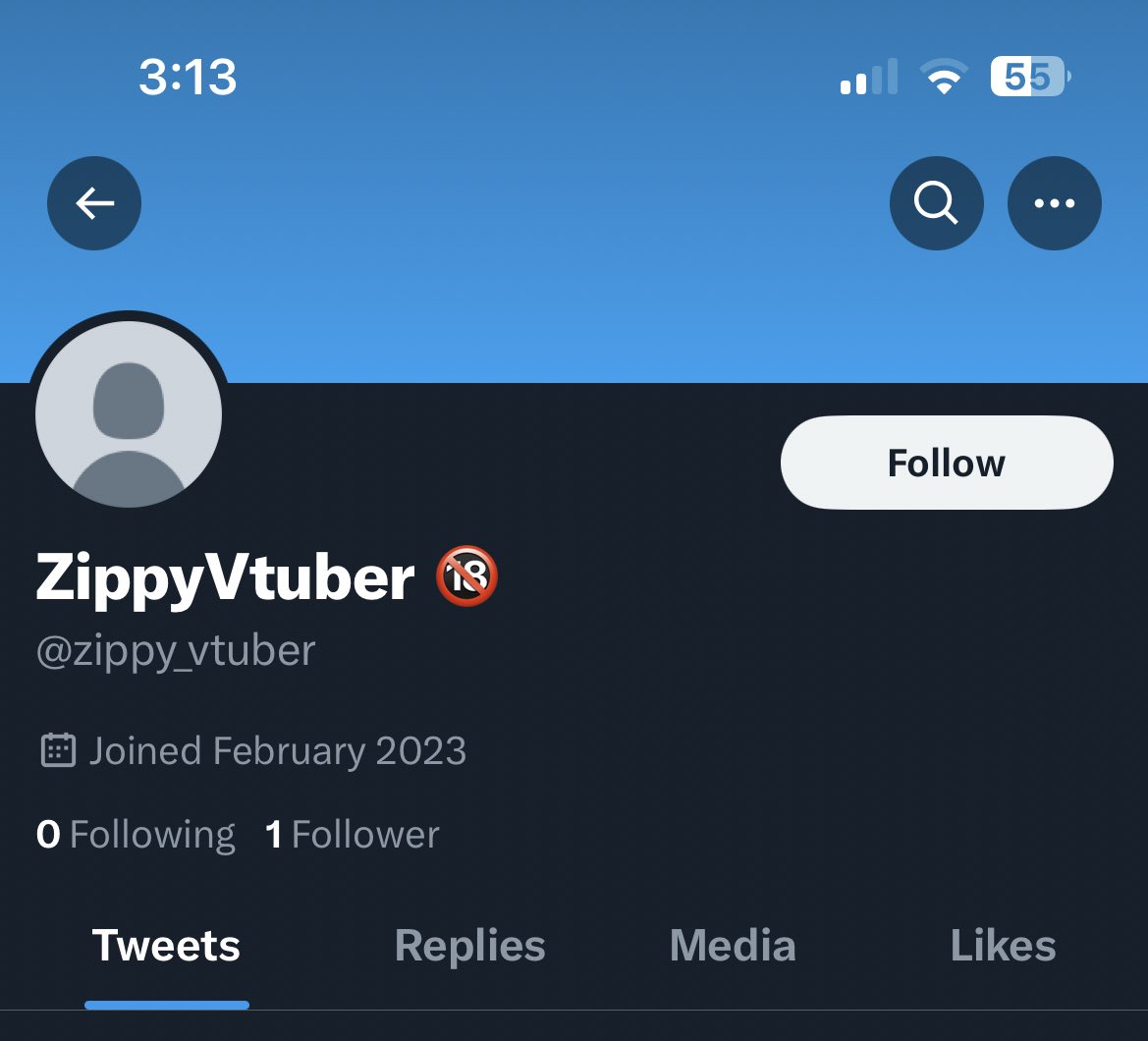 ZippyVtuber's tweet photo. Daily reminder that there’s someone out there pretending to be me but failing horribly at it xD https://t.co/2ezCxvhmNB