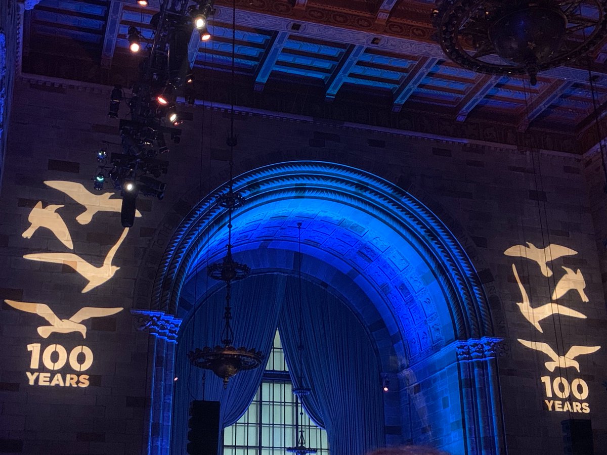 Norton Write tweet media