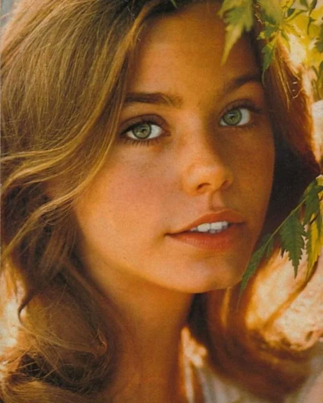 Susan Dey 1970s