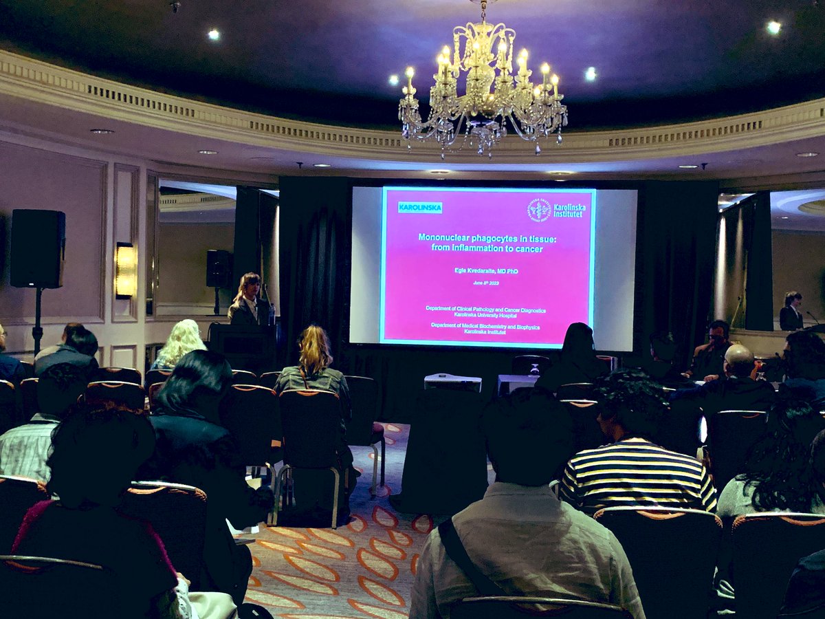 EgleKvedaraite's tweet image. Talking about mononuclear phagocytes in tissue #spatialbiology 2023 @miltenyibiotec #macsima @karolinskainst