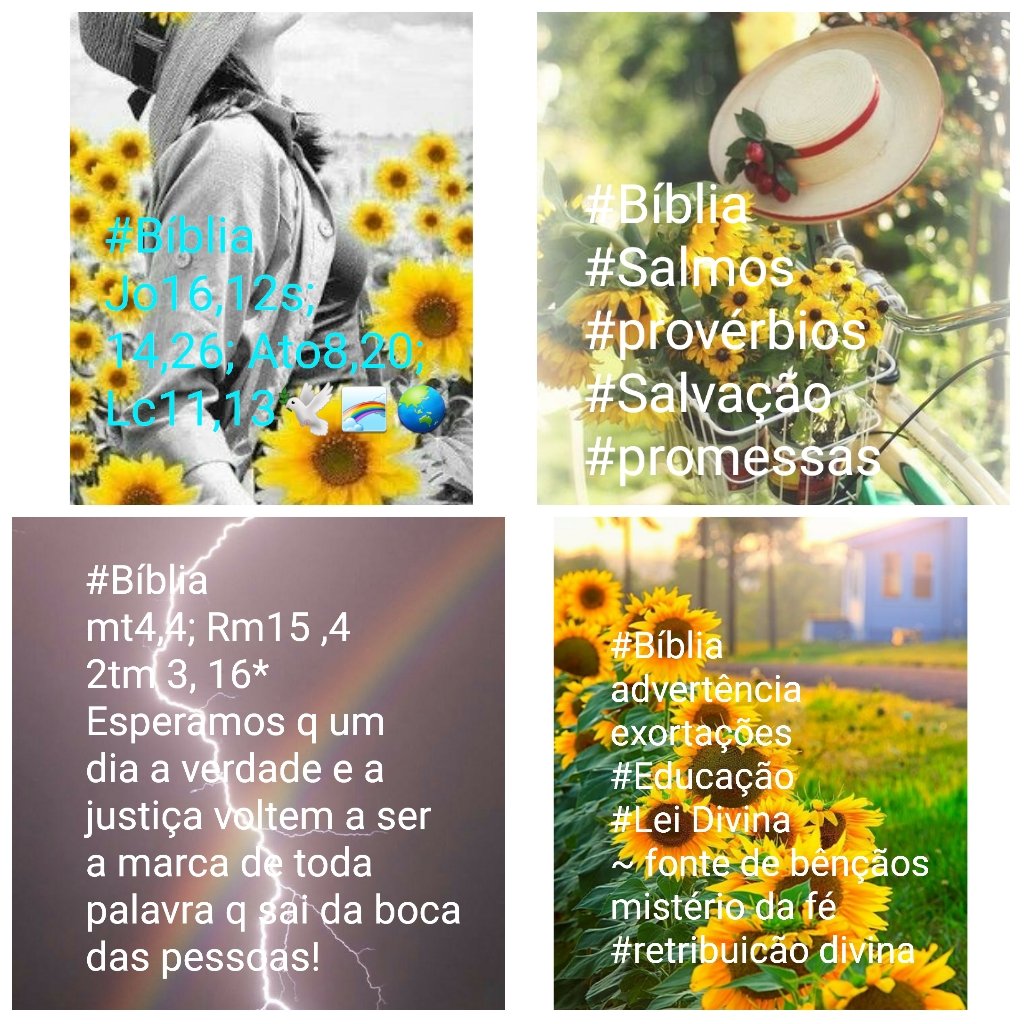 #Bíblia 🕊💘🌻 #TestemunhoDeJesus #evangelho <a href="/Rozane_Costa/">Rozane Santana</a>
" e a ciência diz: hoje vai chover...
E dos filhos de Issacar, duzentos de seus chefes, destros na ciência dos tempos, ( Mt16,3; Jo9,6; Mt24,27; Oséias 4,6 ) "A #fé nos conduz ( Rm8,14-18 )#Amor