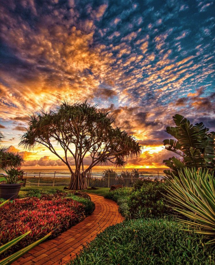 Gold Coast, Queensland 
📸: Ben Mulder
#Australia 🇦🇺 #Queensland  #Brisbane  #palmtrees #Tropical #paradise #oceanview  #beachlife  #beautifulsunsets #sunsets #dreaming #sunshine   #beautifuldestinations #traveling #travelphotography