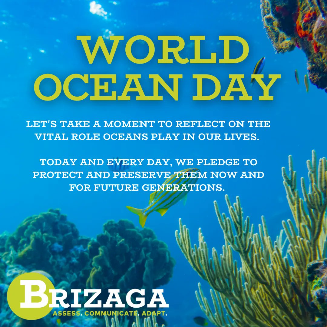 The ocean's vast waters serve as the Earth's life support system. It regulates our climate, producing oxygen, absorbing carbon dioxide, and storing vast amounts of heat.#WorldOceanDay2023 #protectourseas #brizaga