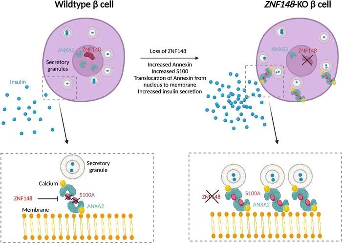 JCI insight tweet media